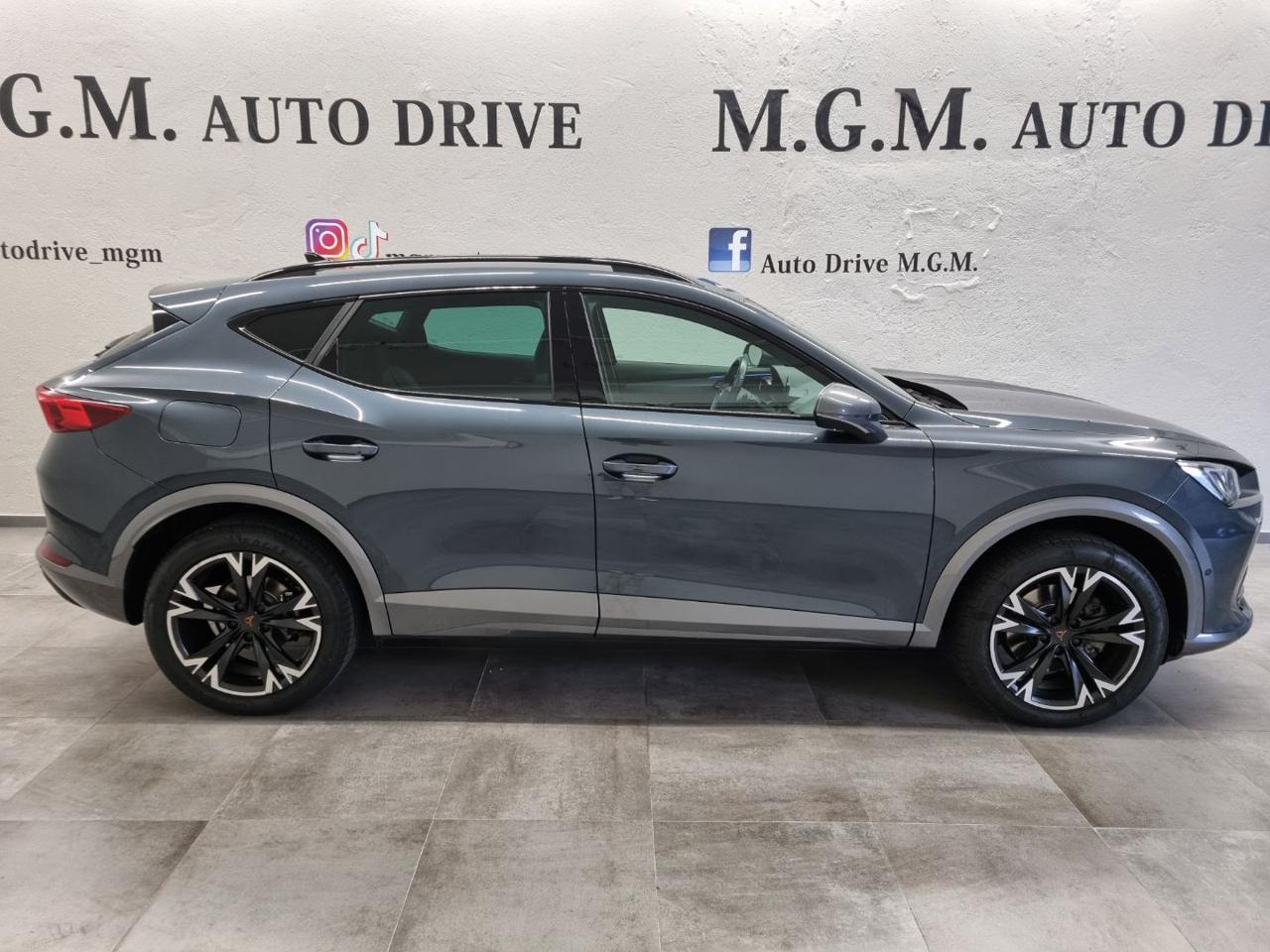CUPRA Formentor 2.0 TDI 4Drive DSG - 4