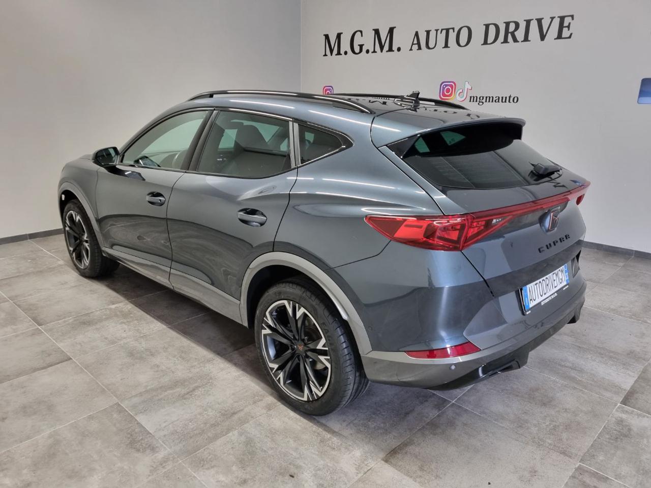 CUPRA Formentor 2.0 TDI 4Drive DSG - 24