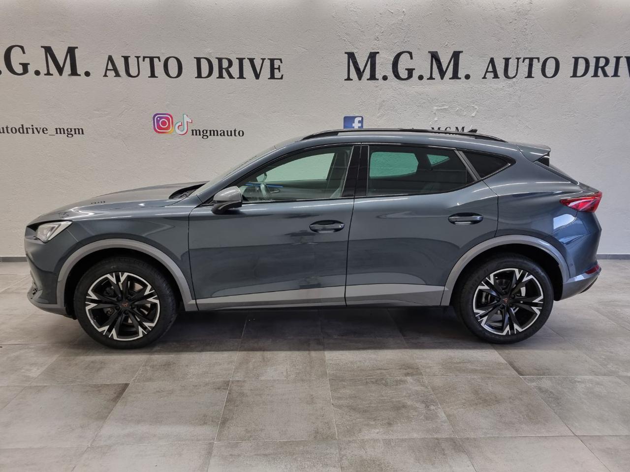 CUPRA Formentor 2.0 TDI 4Drive DSG - 22