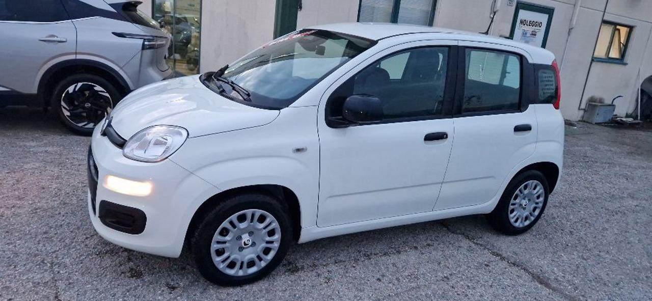 FIAT Panda 1.0 FireFly S&S Hybrid  km.o - 11