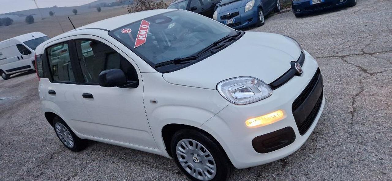 FIAT Panda 1.0 FireFly S&S Hybrid  km.o - 10