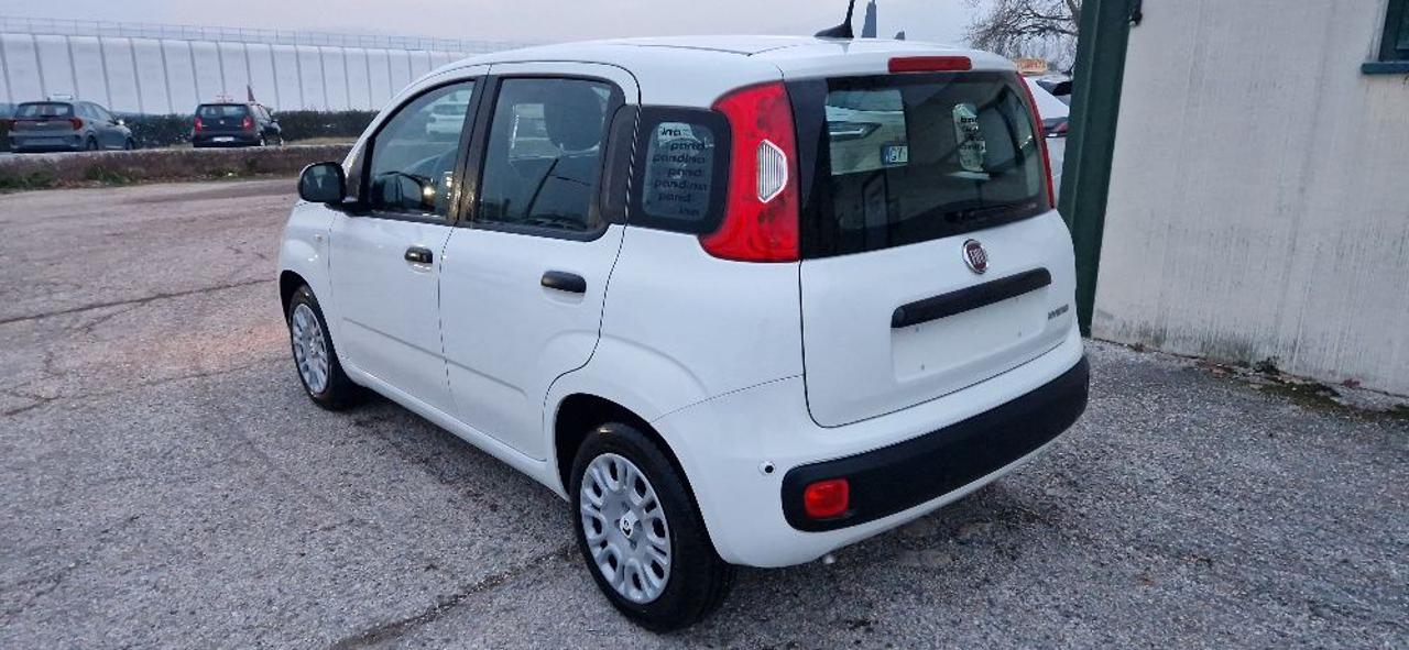 FIAT Panda 1.0 FireFly S&S Hybrid  km.o - 12