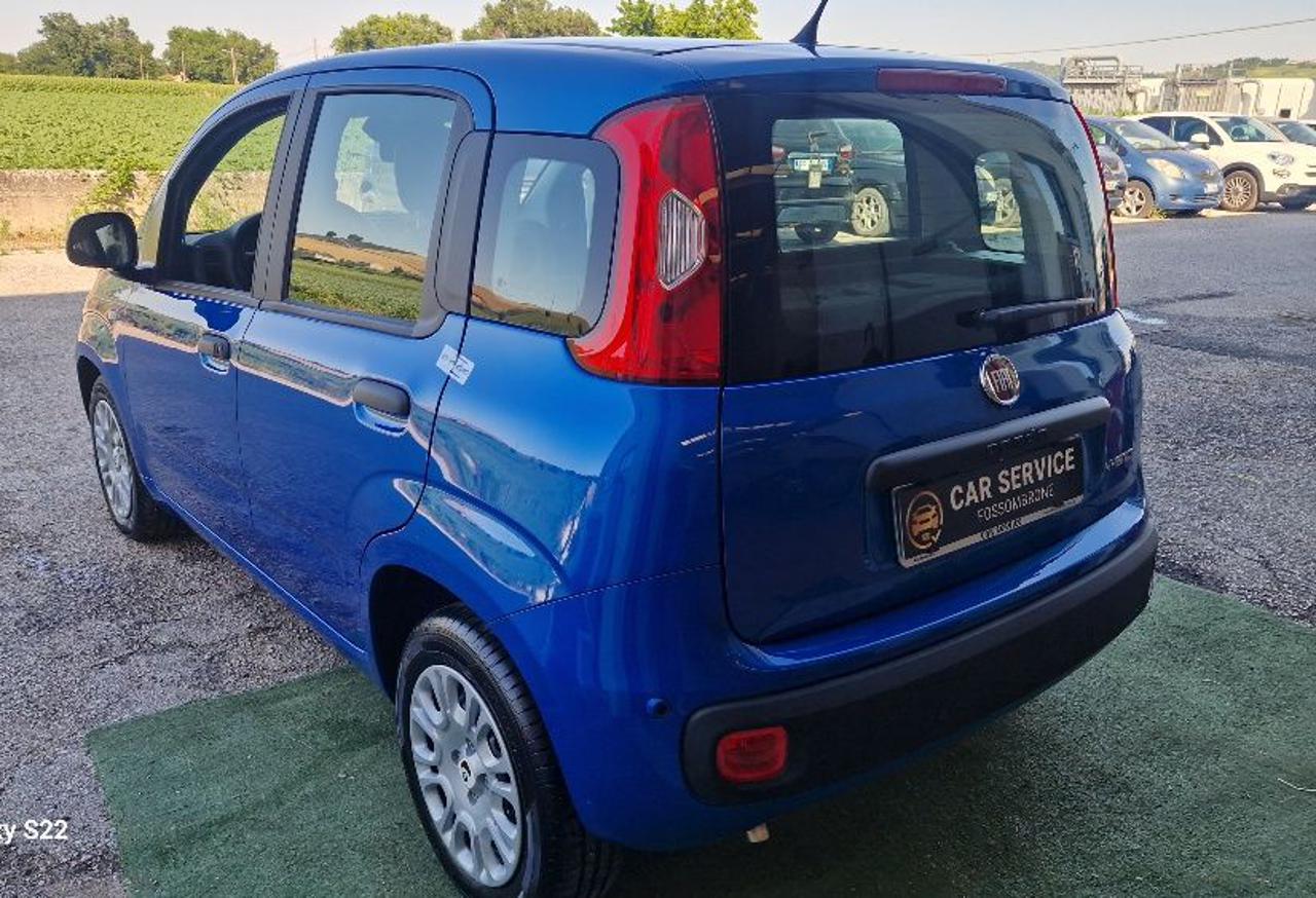 FIAT Panda 1.0 FireFly S&S Hybrid  km.o - 3