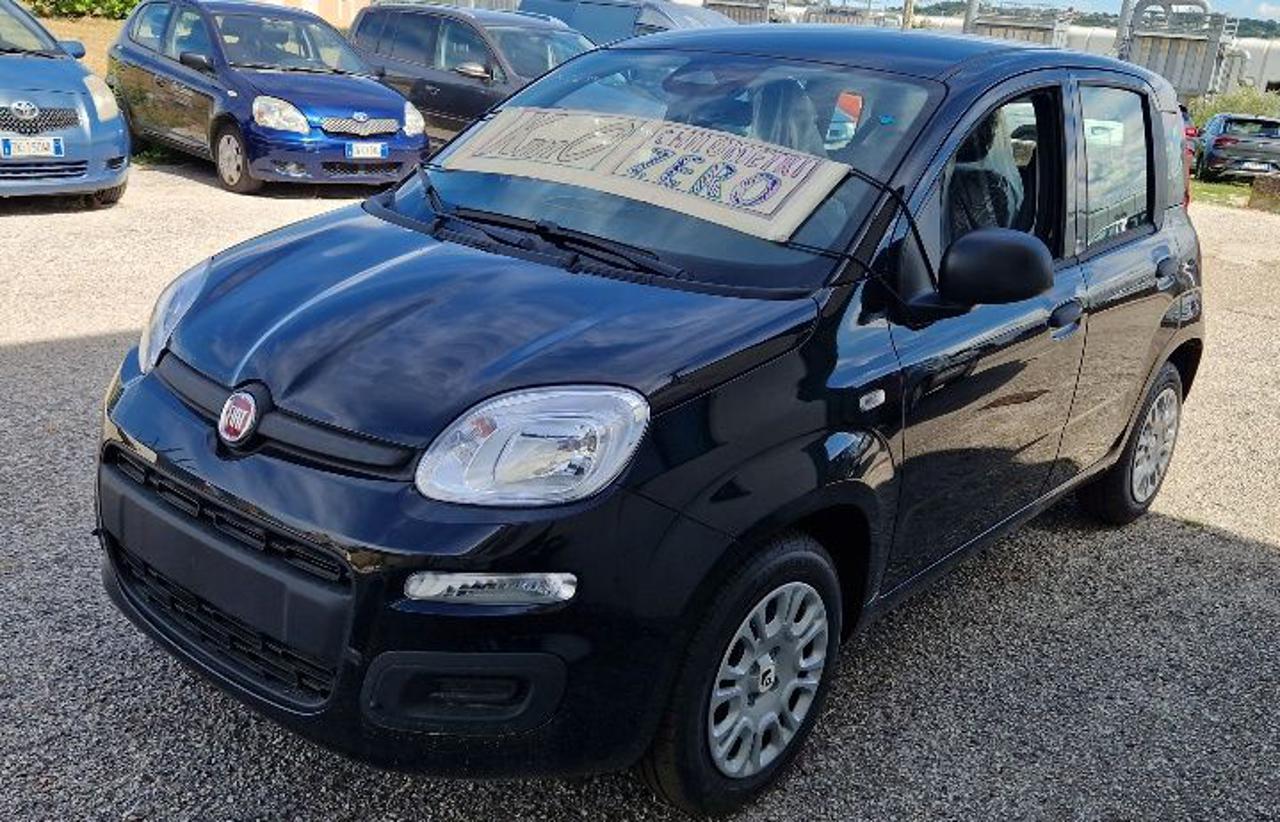 FIAT Panda 1.0 FireFly S&S Hybrid  km.o - 16
