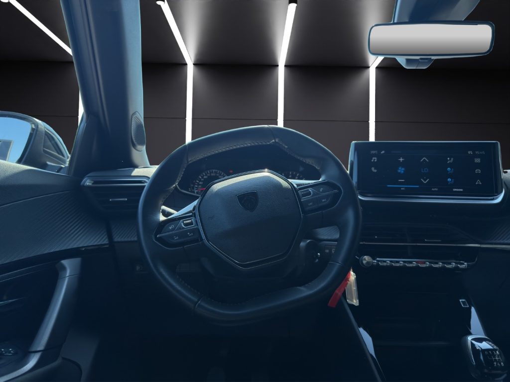 PEUGEOT 2008 PureTech 100 S&S Active - 10