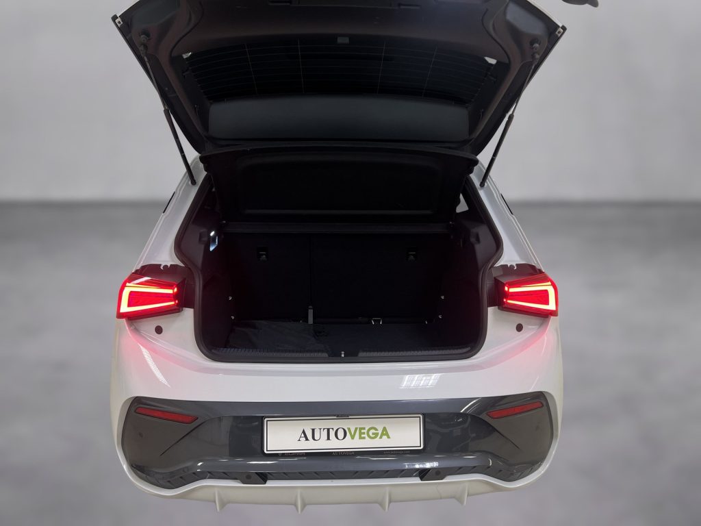 CUPRA Born 58kwh - 17