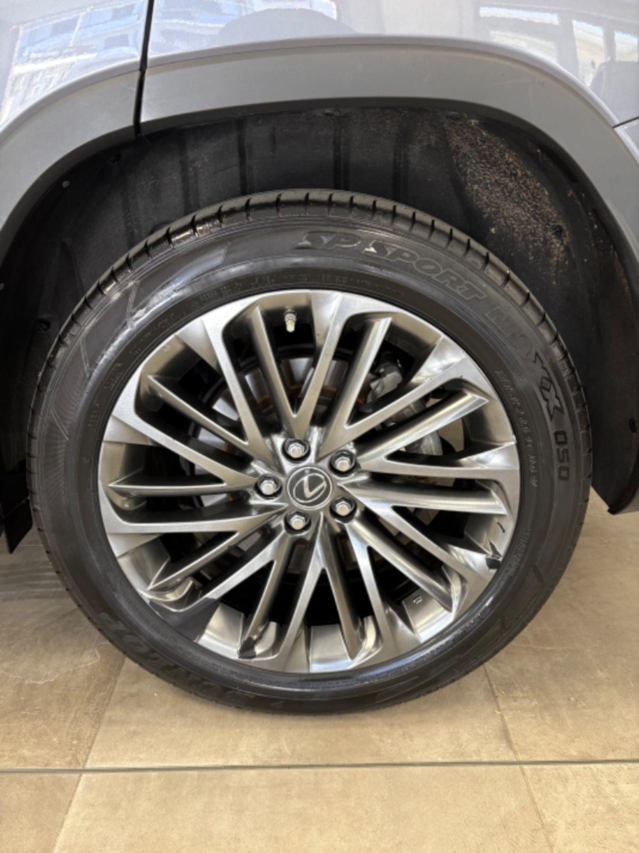 LEXUS RX 450h RX Hybrid Luxury FULL LED TETTO APRIBILE! - 16