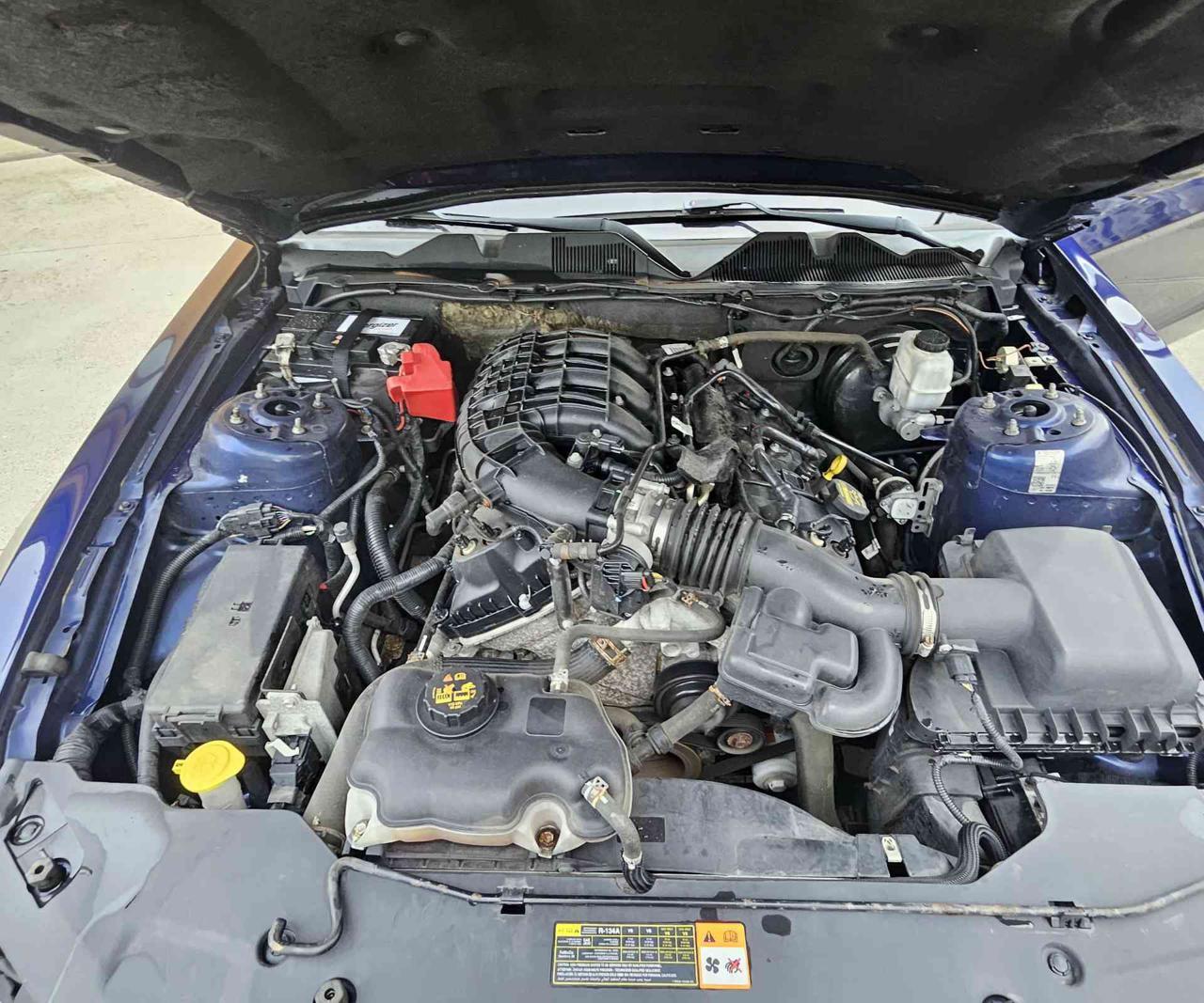FORD Mustang mustang coupe 3.7 v6 edition  CAMBIO MANUALE - 12
