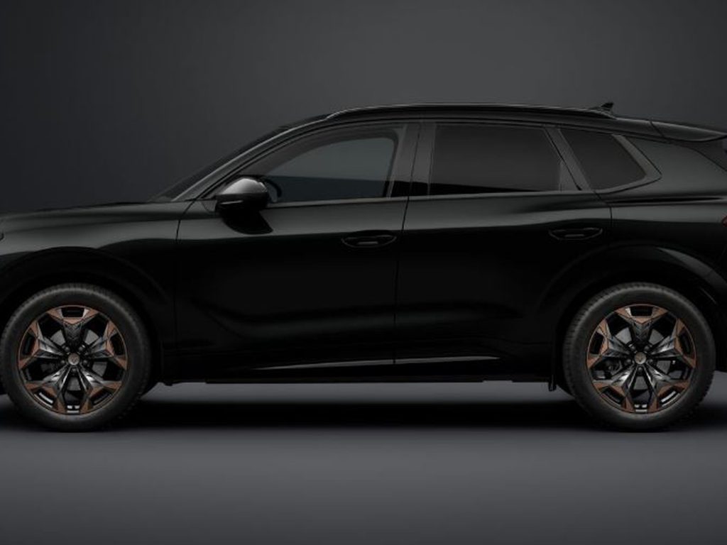 CUPRA Terramar 1.5 hybrid business 150cv dsg - 2