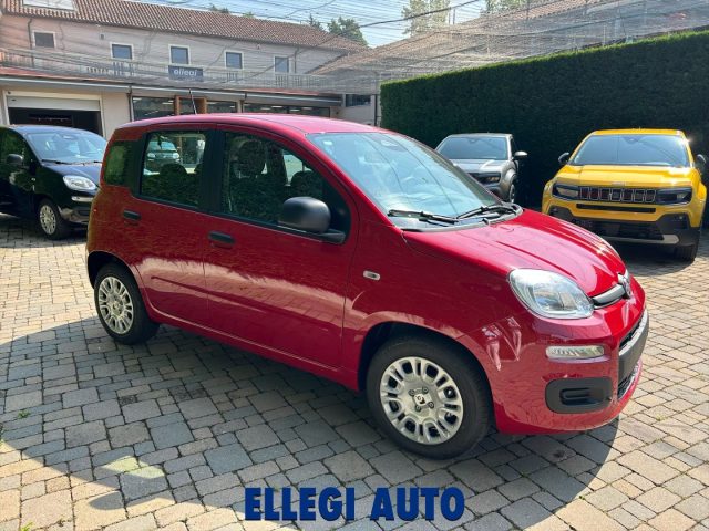 FIAT Panda Rosso pastello