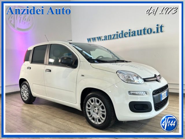 FIAT Panda Bianco pastello