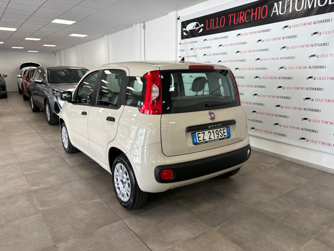 FIAT Panda 1.2 Easy Van 4 posti - 4