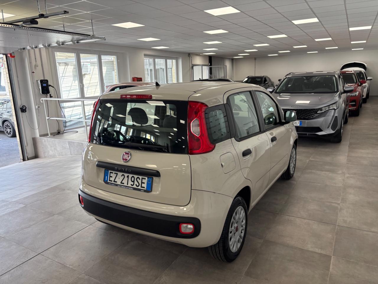 FIAT Panda 1.2 Easy Van 4 posti - 6