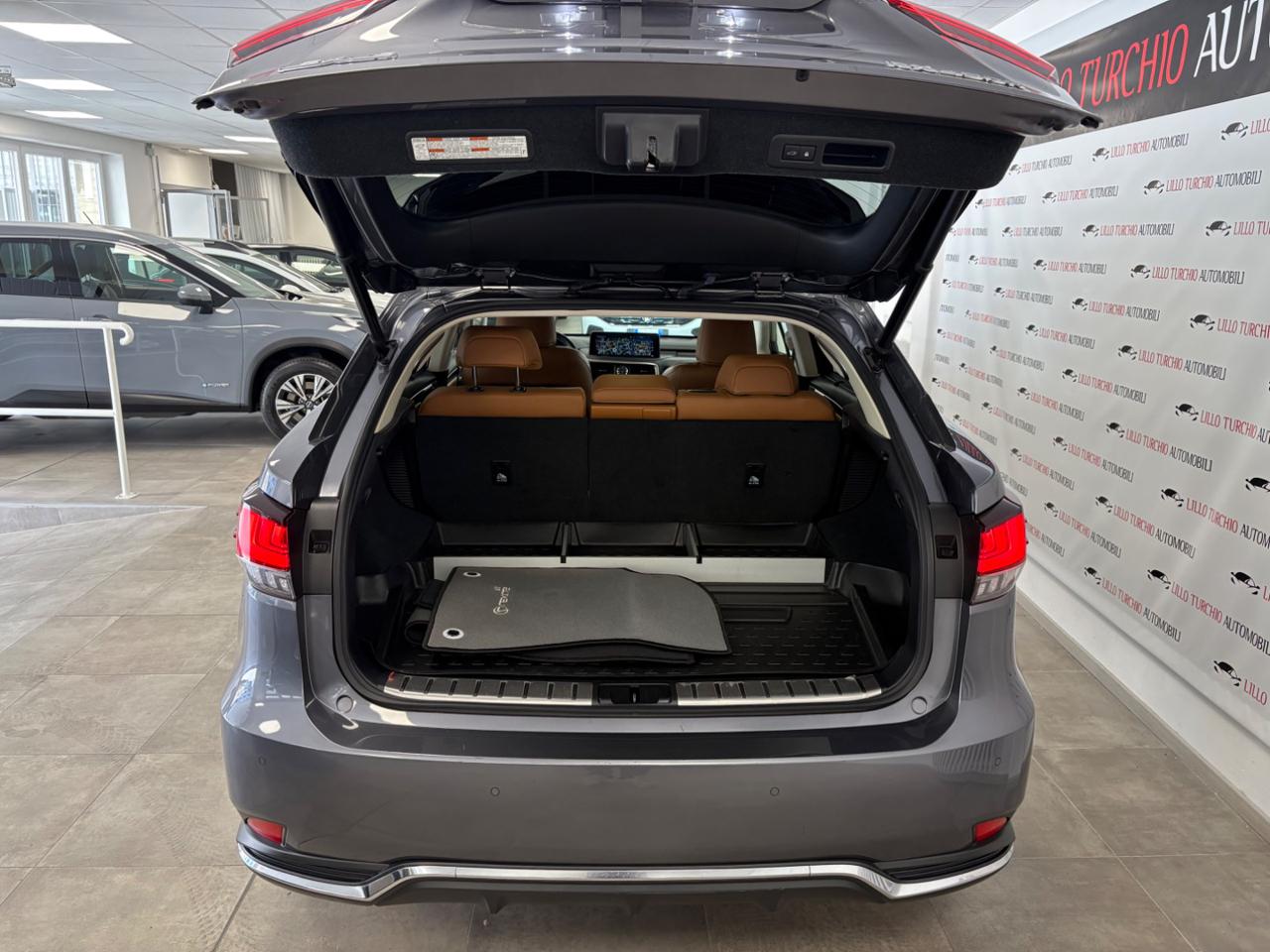LEXUS RX 450h RX Hybrid Luxury FULL LED TETTO APRIBILE! - 21
