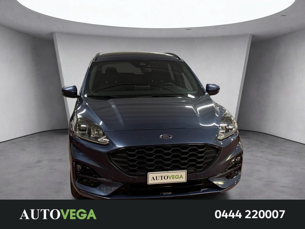 FORD Kuga 2.0 ecoblue mhev st-line 2wd 150cv - 2