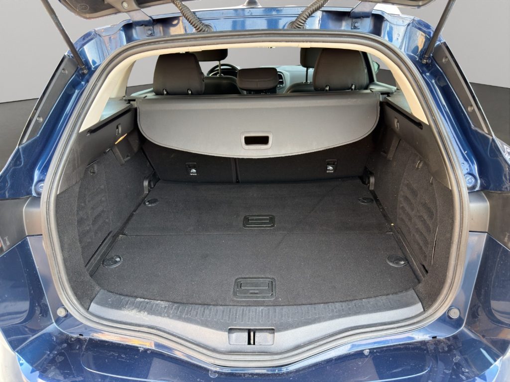 RENAULT Megane 1.5 dci Autocarro N1 - 15