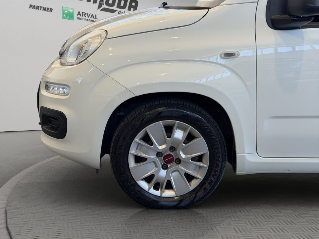 FIAT Panda 1.3 MJT VAN AUTOCARRO 4 POSTI - 19