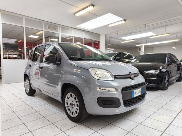 FIAT Panda Grigio pastello