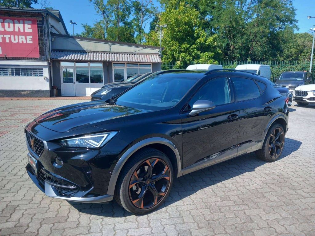 CUPRA Formentor Formentor 2020 2.0 tsi 4drive 190cv dsg - 4