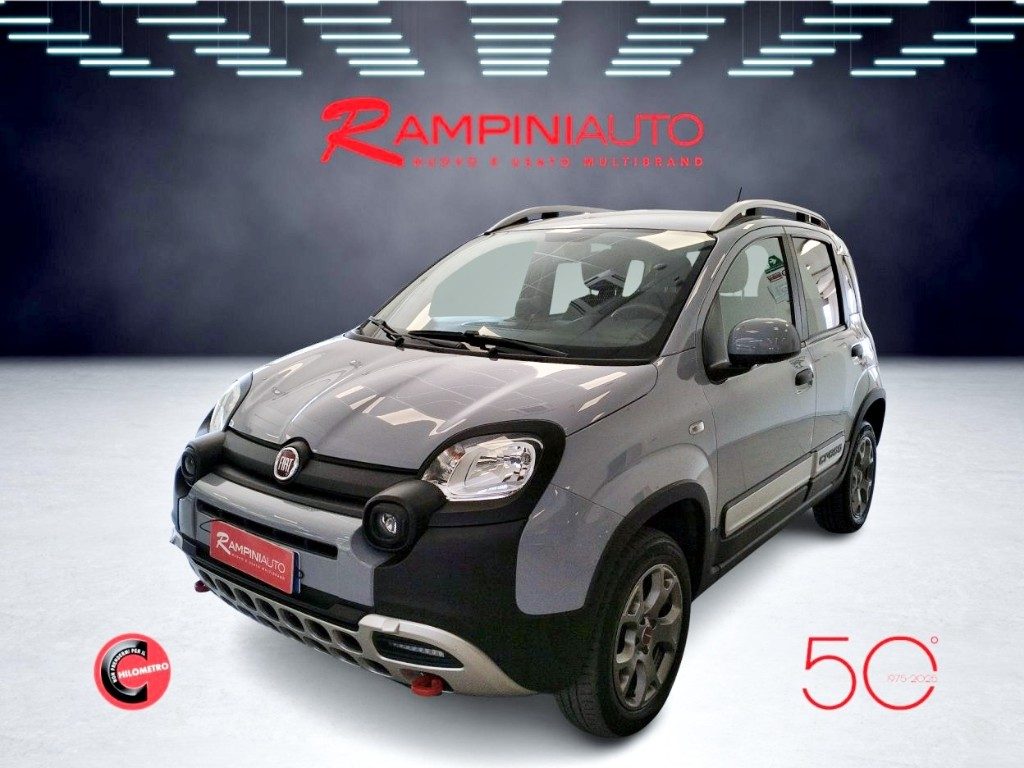 FIAT Panda Cross 0.9 TwinAir Turbo 4x4 Km 64.000 Pronta Consegna - 2