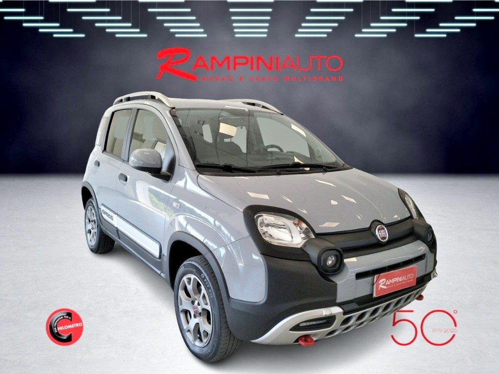 FIAT Panda Cross 0.9 TwinAir Turbo 4x4 Km 64.000 Pronta Consegna - 4