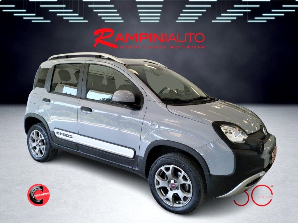 FIAT Panda Cross 0.9 TwinAir Turbo 4x4 Km 64.000 Pronta Consegna - 5