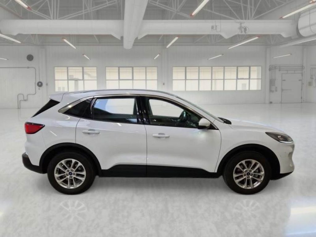 FORD Kuga 1.5 EcoBlue 120 CV aut. 2WD Titanium Business - 3
