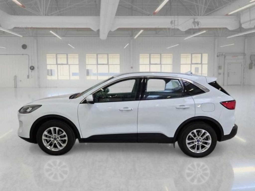 FORD Kuga 1.5 EcoBlue 120 CV aut. 2WD Titanium Business - 4