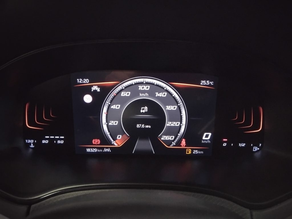SEAT Ibiza 1.0 EcoTSI 5 porte Style C/GRIMALDI SPECIAL DAY - 26