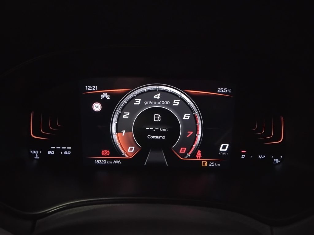 SEAT Ibiza 1.0 EcoTSI 5 porte Style C/GRIMALDI SPECIAL DAY - 27