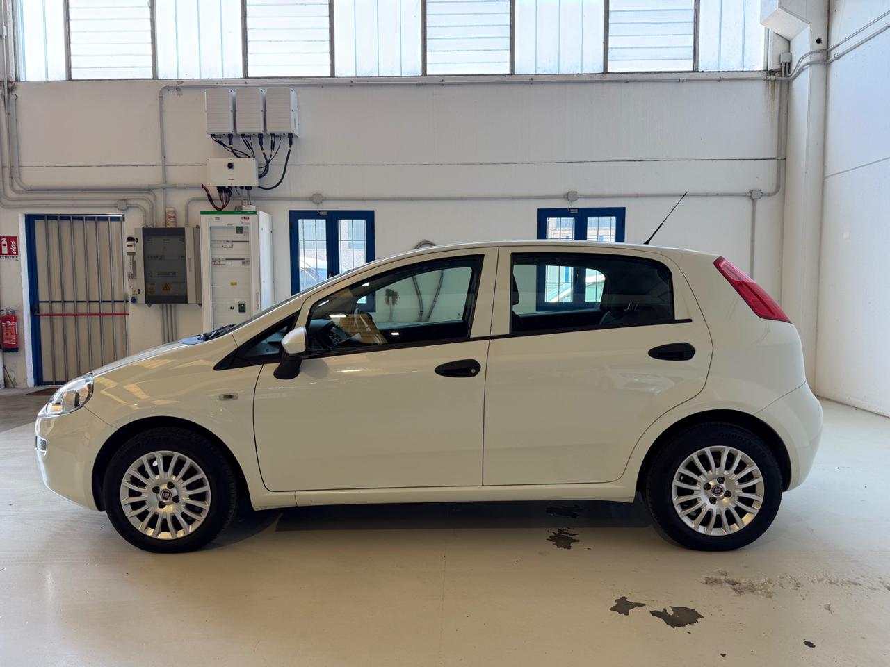 FIAT Punto 1.2 8V 5 porte Lounge - 2