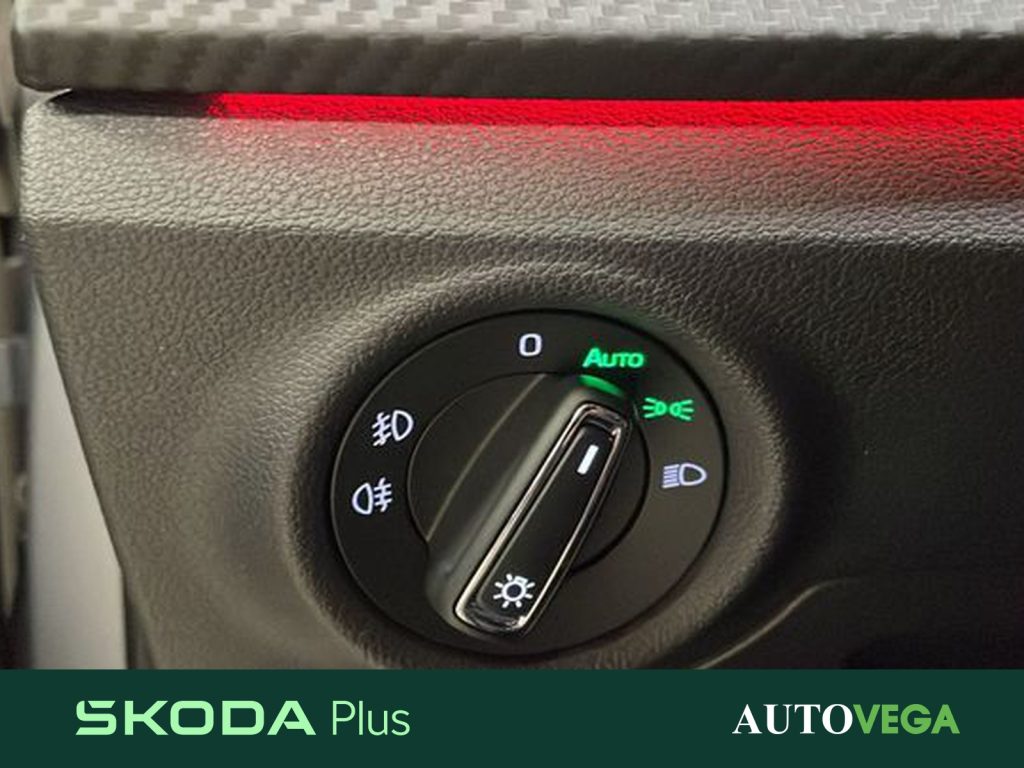 SKODA Kamiq 1.0 tsi monte carlo 115cv dsg - 14