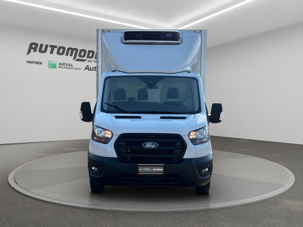 FORD Transit P350 L4 CELLA FRIGO - 2