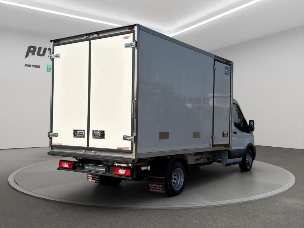 FORD Transit P350 L4 CELLA FRIGO - 4