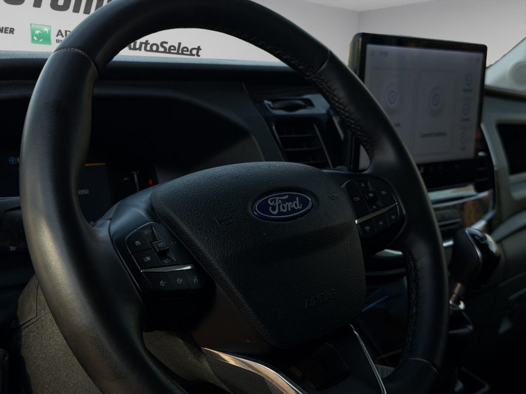 FORD Transit P350 L4 CELLA FRIGO - 11