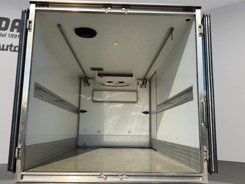 FORD Transit P350 L4 CELLA FRIGO - 15