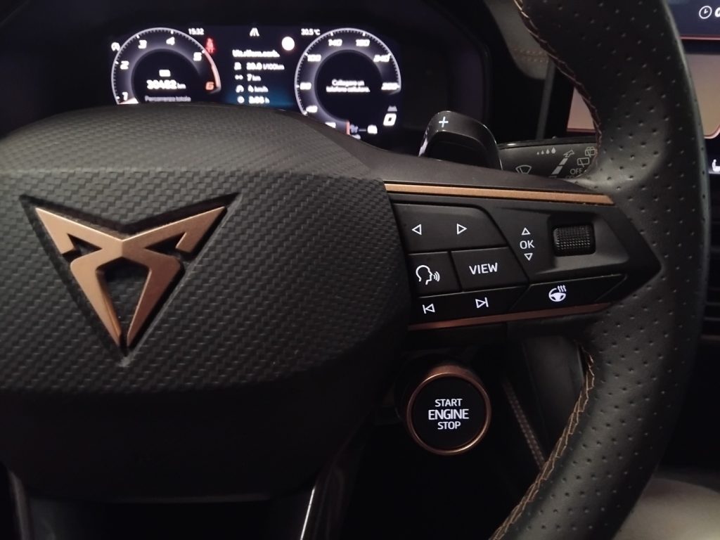 CUPRA Formentor 2.0 TDI DSG 19 EDGE PACK C/GRIMALDI SP. DAY - 13