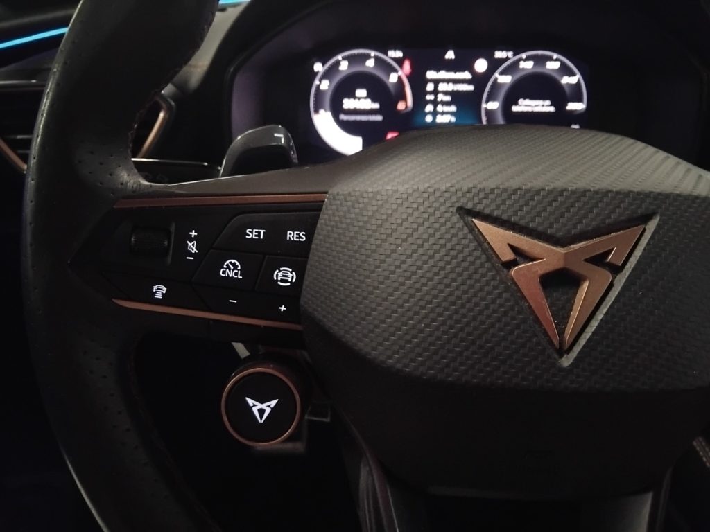 CUPRA Formentor 2.0 TDI DSG 19 EDGE PACK C/GRIMALDI SP. DAY - 15