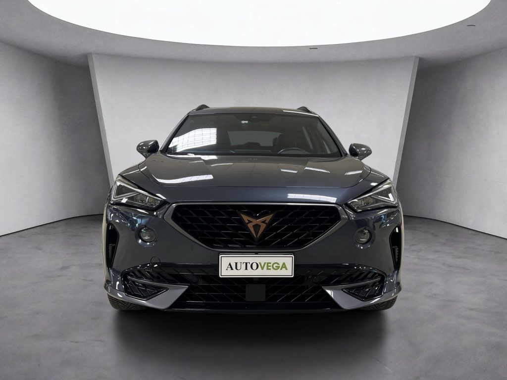 CUPRA Formentor 2.0 tdi 4drive 150cv dsg - 2