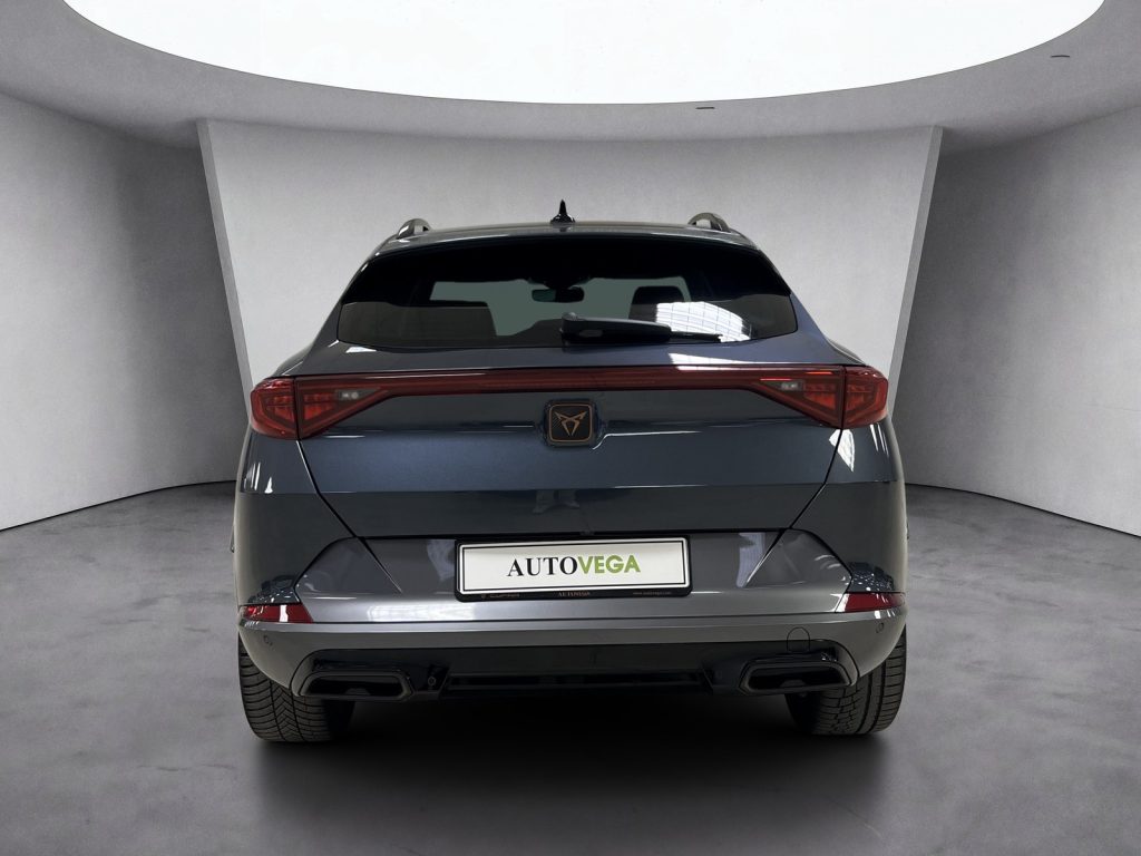 CUPRA Formentor 2.0 tdi 4drive 150cv dsg - 5