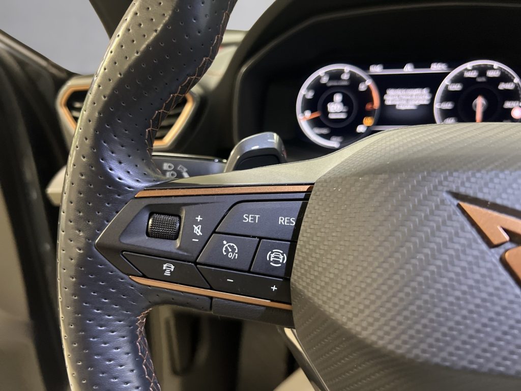 CUPRA Formentor 2.0 tdi 4drive 150cv dsg - 16