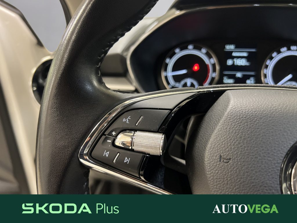 SKODA Fabia 1.0 tsi evo style 110cv - 16