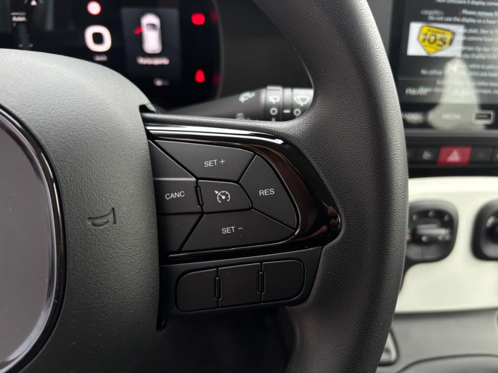 FIAT Pandina Cross 1.0 Hybrid 65CV--FOTO ILLUSTRATIVA BIANCO - 19