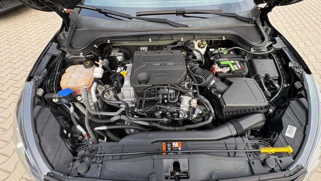 FORD Focus 1.0 EcoBoost 125 CV SW ST-Line IVA ESPOSTA - 25