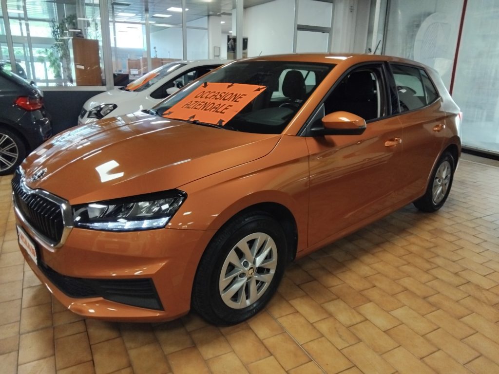 SKODA Fabia 1.0 MPI 80 CV Ambition C/GRIMALDI SPECIAL DAY - 3