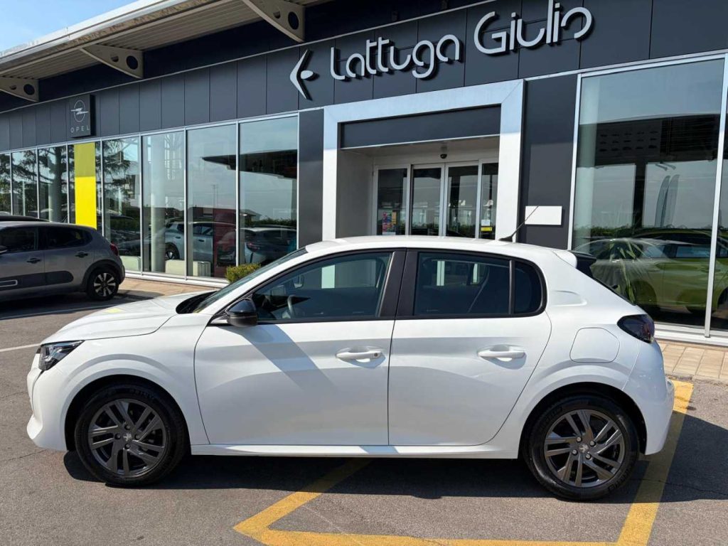 PEUGEOT 208 PureTech 100 Stop&Start 5 porte Active Pack - 9