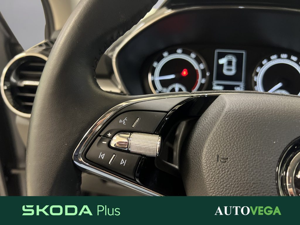 SKODA Fabia 1.0 tsi evo style 95cv - 16