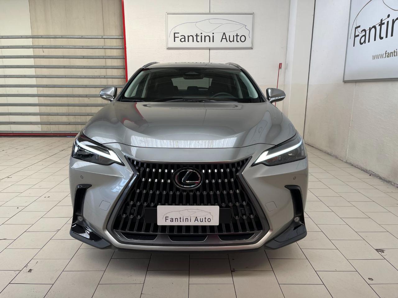 NX 350h 1