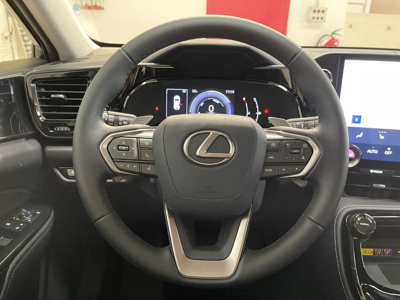NX 350h 19