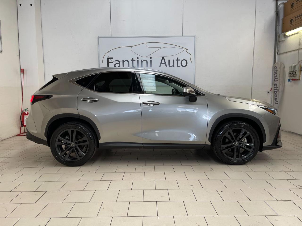 NX 350h 6